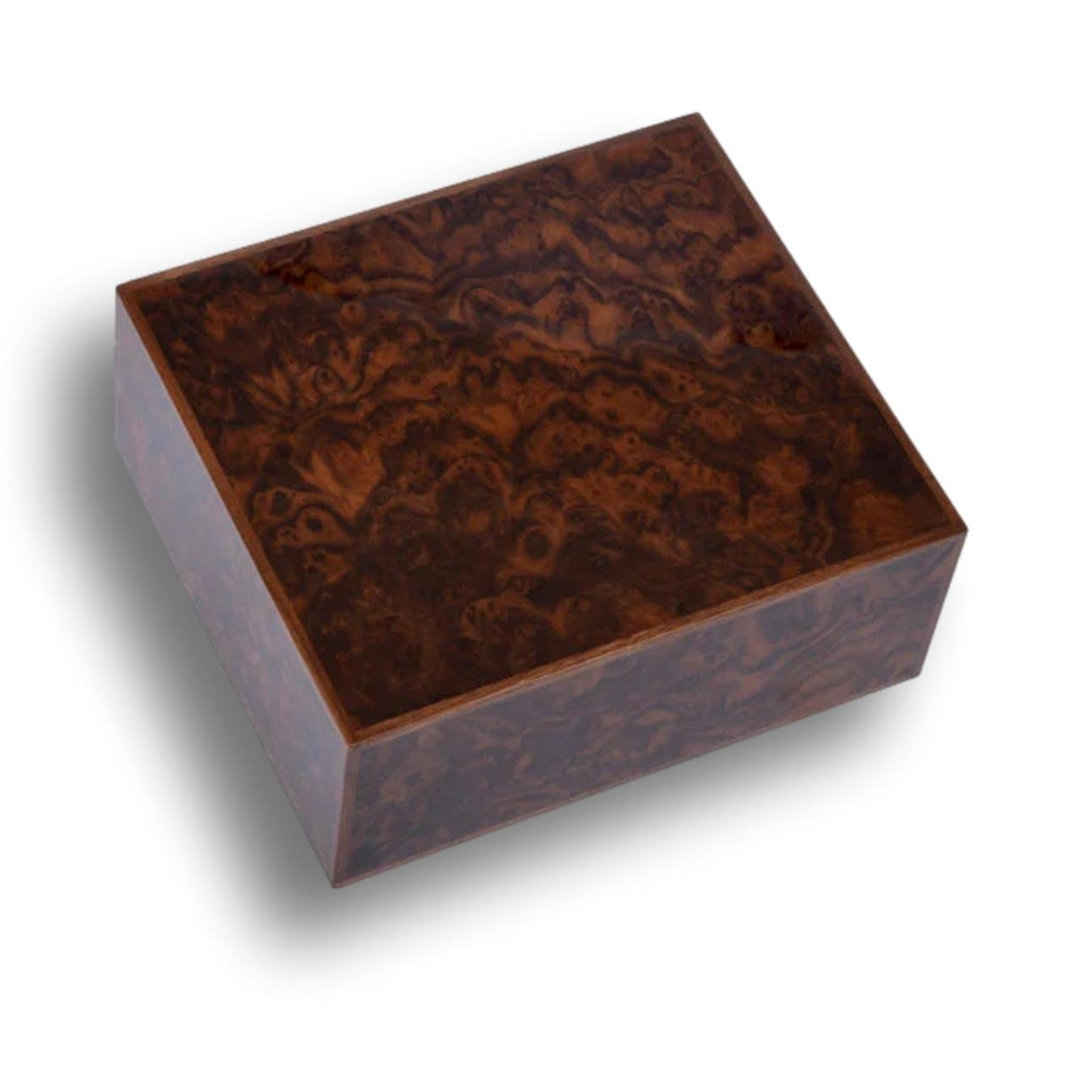 Elie Bleu Walnut Burl Classic Wood 50-110 Cigar Desktop Humidor