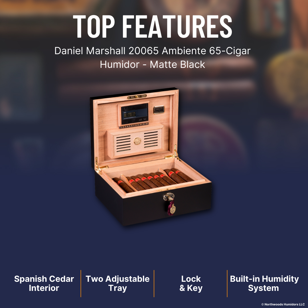 Daniel Marshall 20065 Ambiente 65-Cigar Humidor - Matte Black