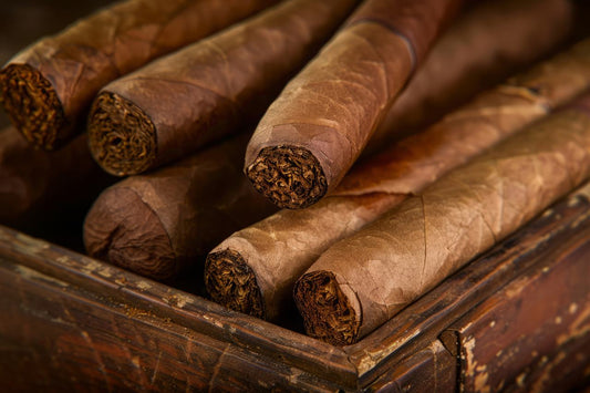 How to Judge a Good Quality Cigar