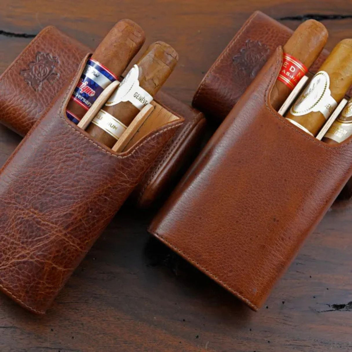 Brizard & Co Show Band Antique Saddle Leather 3-Finger Hard Cigar Case - Collection 6